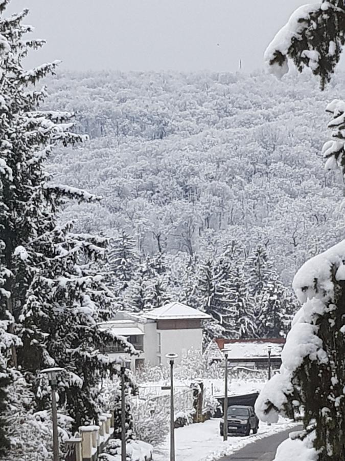Amaretto Szállás Miskolc Exterior foto